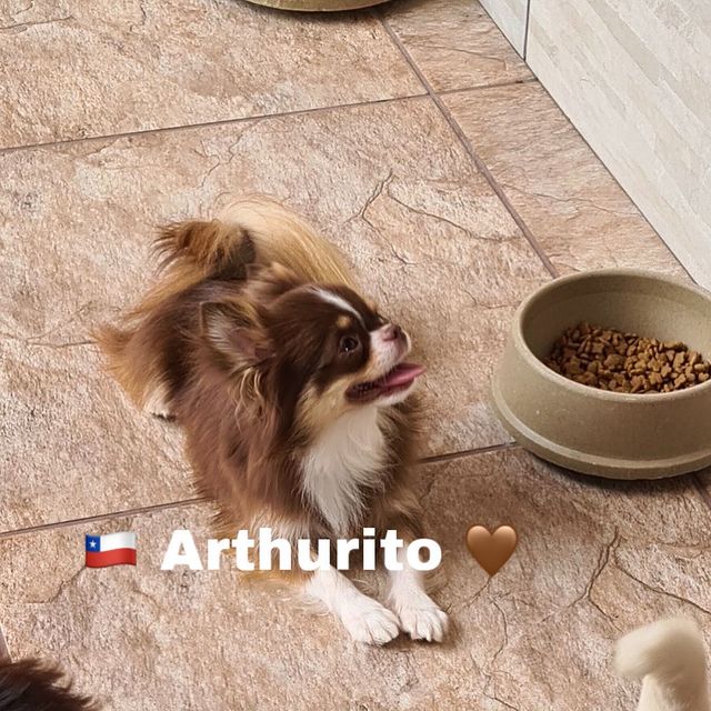 228347806_516579272733387_4399487374043297473_n